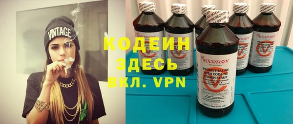 ГАЛЛЮЦИНОГЕННЫЕ ГРИБЫ Дмитриев