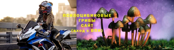 мяу мяу мука Алексеевка