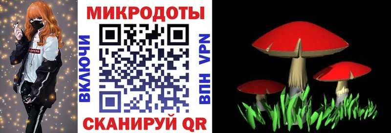 хочу   Безенчук  Галлюциногенные грибы ЛСД 